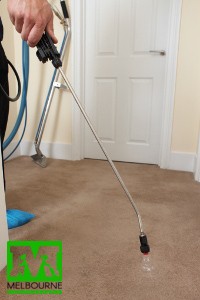 Carpet cleaners spraying the carpet with solution